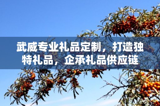 武威专业礼品定制，打造独特礼品，企承礼品供应链